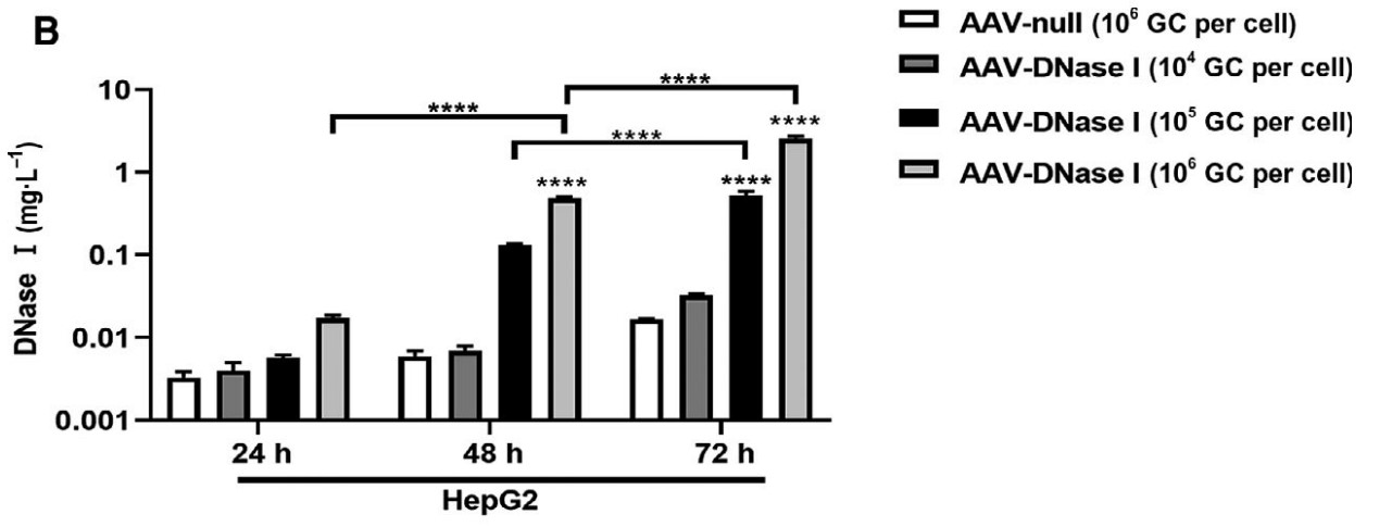 DNaseI levels with different AAV vector concentrations in HepG2 cells.jpg